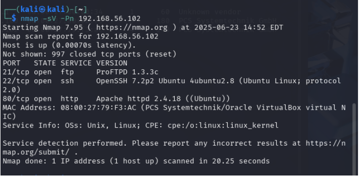 Basic Pentesting Case Study